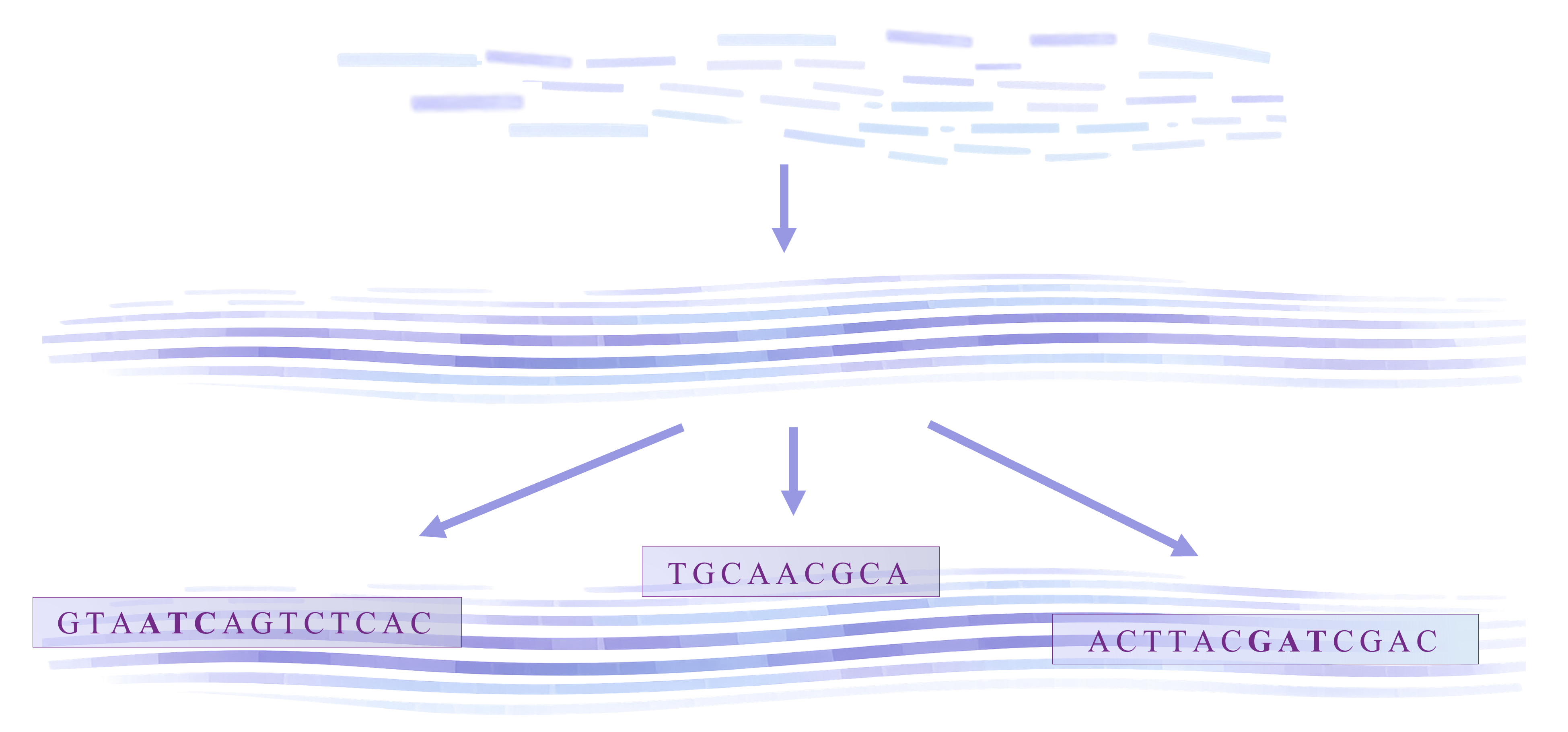 denovo studies image