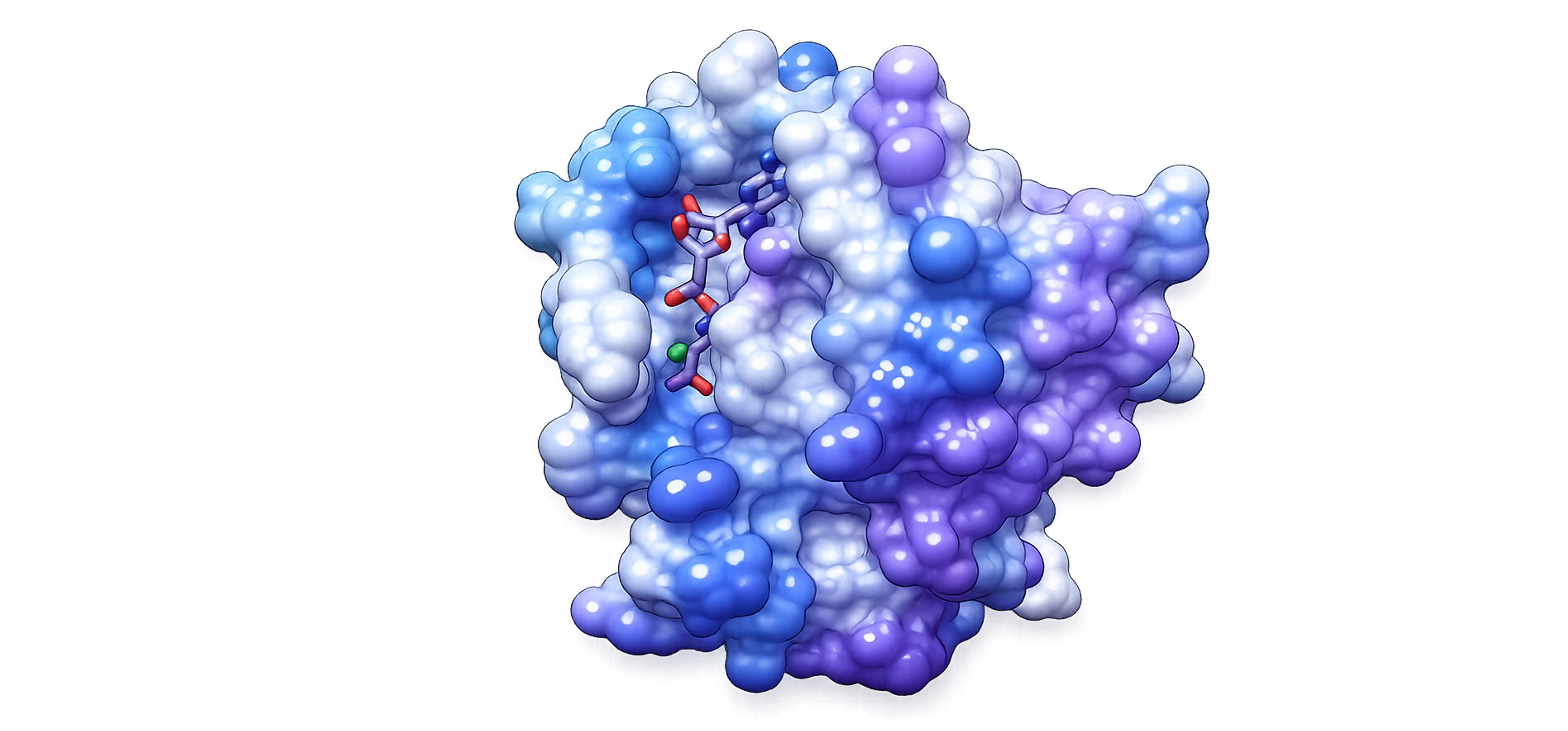 structural bioinfo image