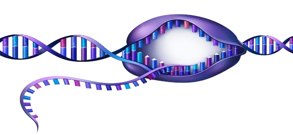transcriptomics image