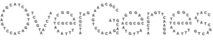 OverGene