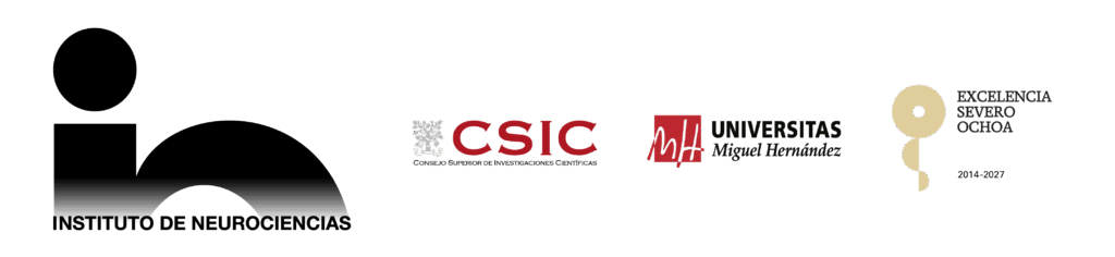 Instituto de Neurociencias · CSIC · Universidad Miguel Hernández