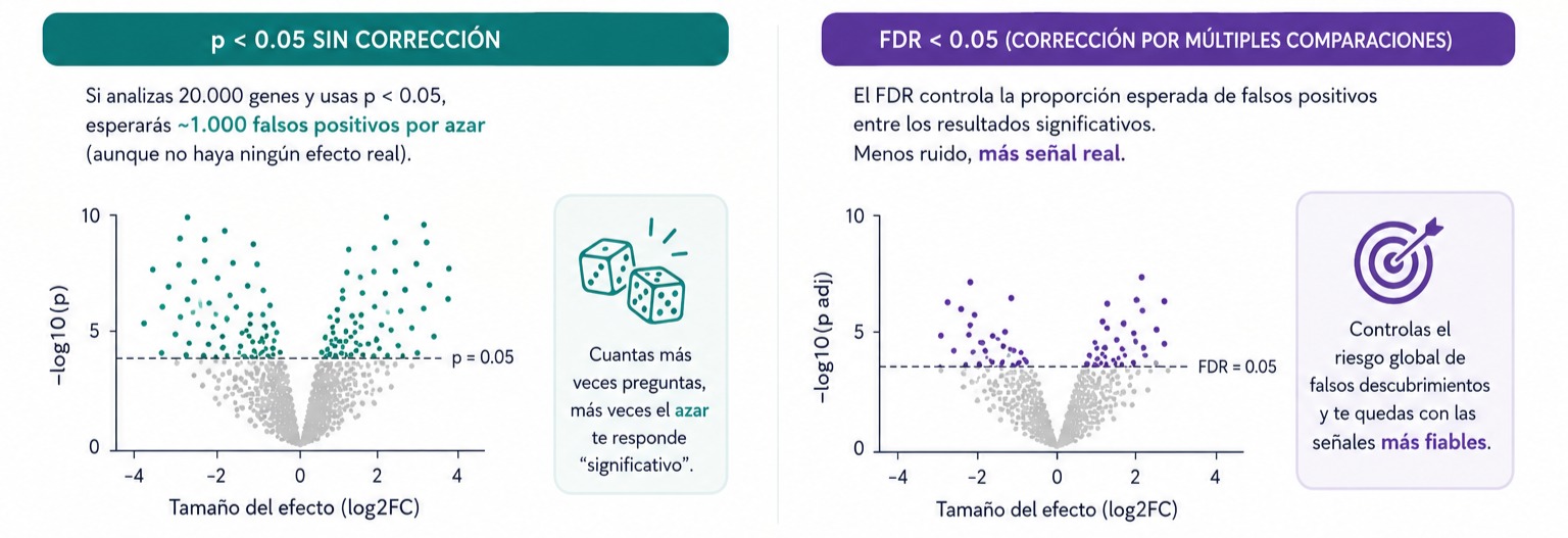 FDR explicado en humano: por qué “p < 0.05” no basta en ómicas