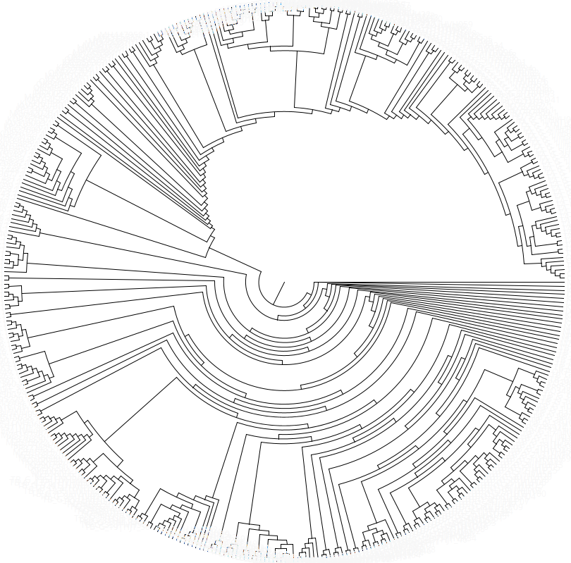 🔬Phylograph: Editor multifuncional de árboles filogenéticos