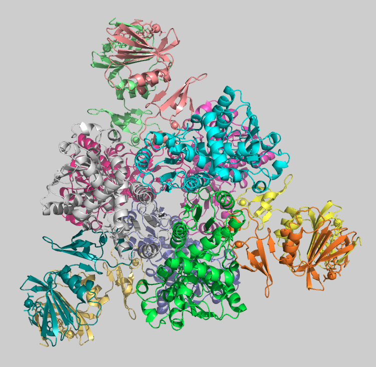 De la estructura a la función: el potencial de la bioinformática estructural y la ingeniería de enzimas