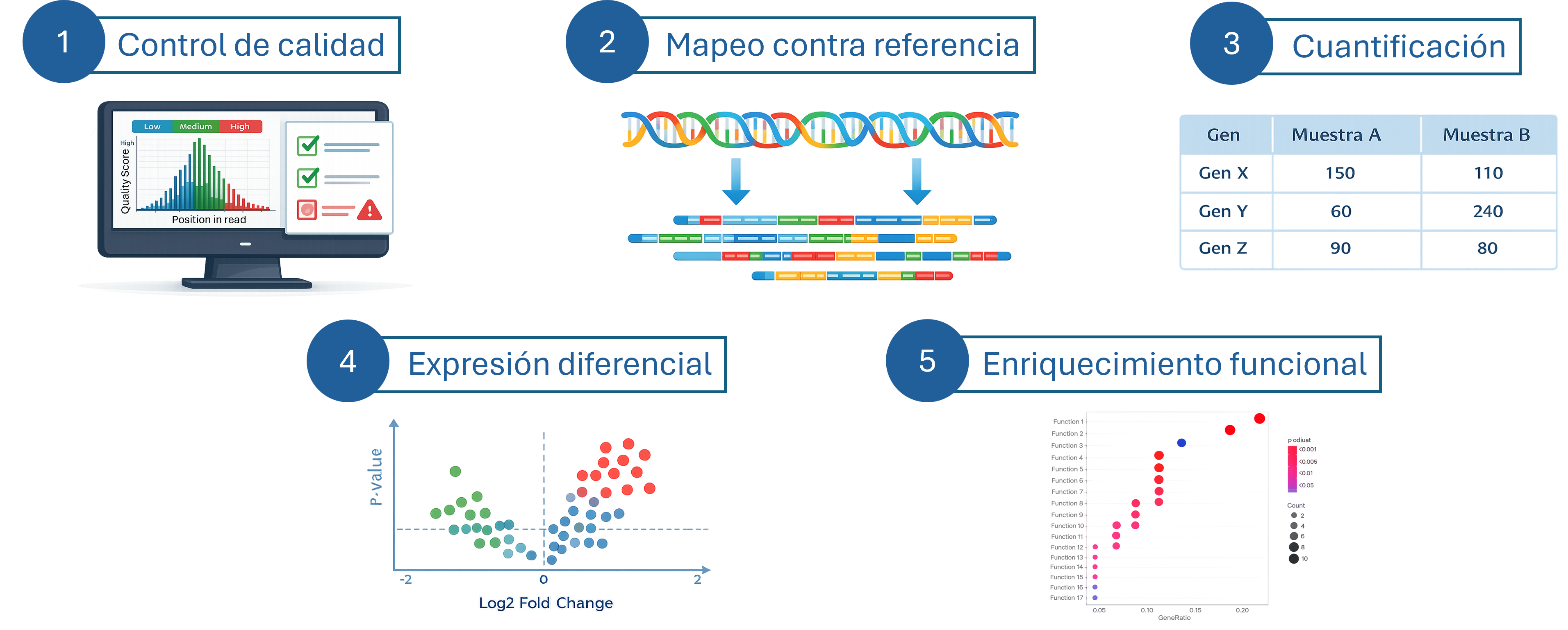 RNA-seq: análisis de expresión génica de nueva generación